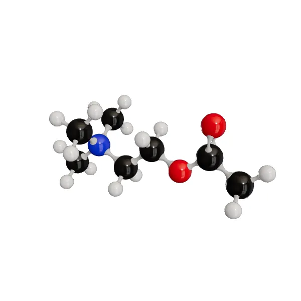 3D model of Acetylcholine