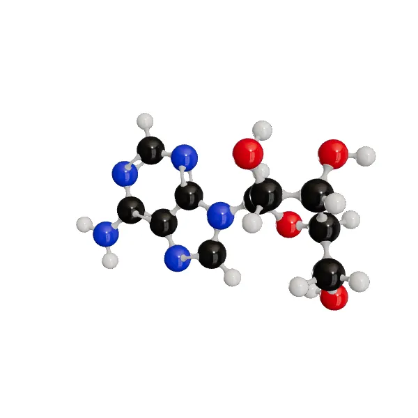 3D model of Adenosine