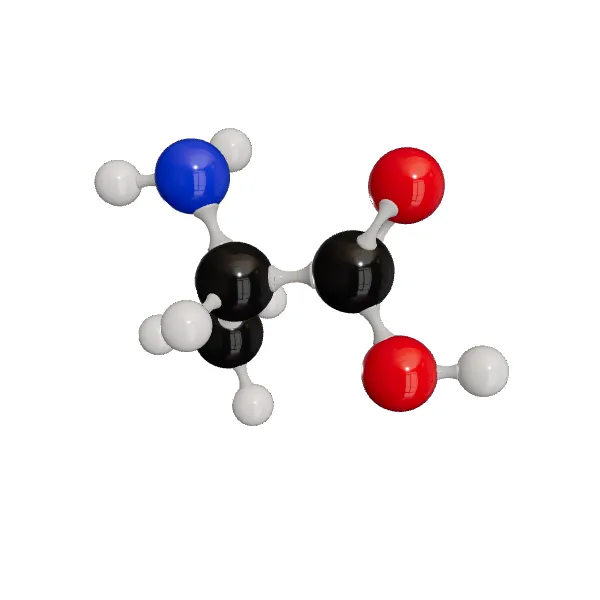 3D model of L-Alanine