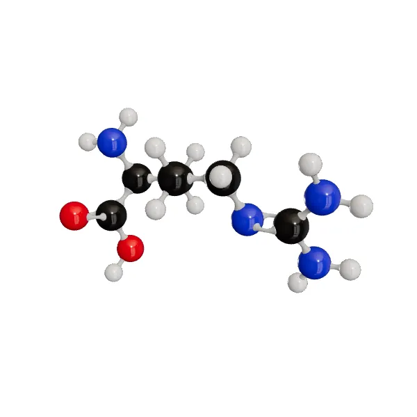 3D model of L-Arginine