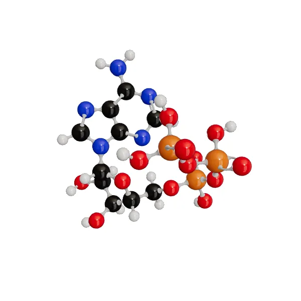 3D model of 5'-Atp