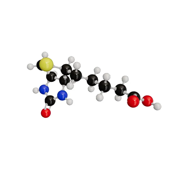 3D model of Biotin