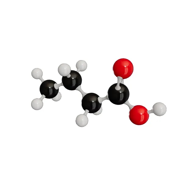3D model of Butyric Acid