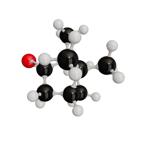 3D model of Camphor