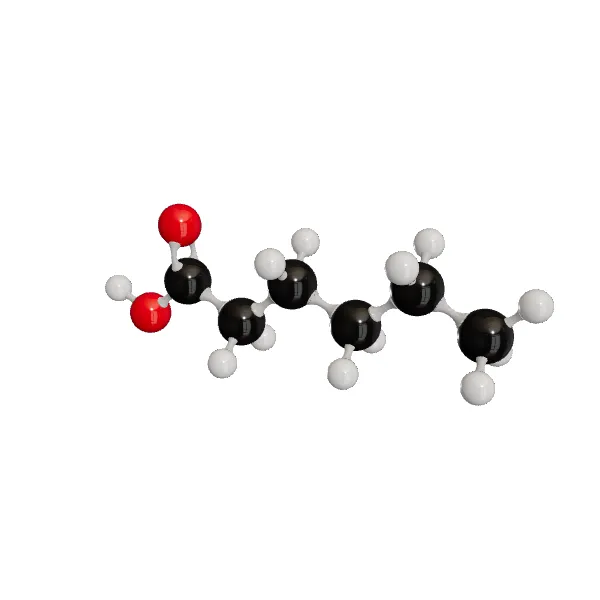 3D model of Hexanoic Acid