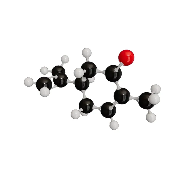 3D model of Carvone, (-)-