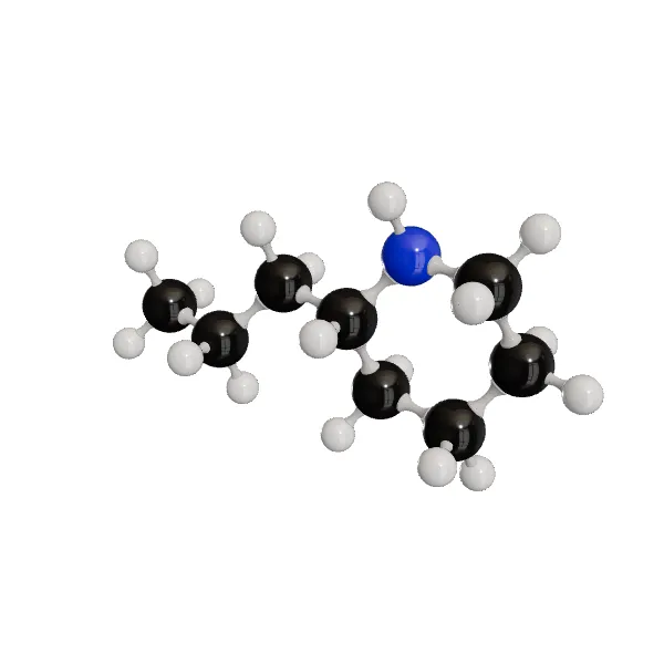 3D model of (+)-Coniine