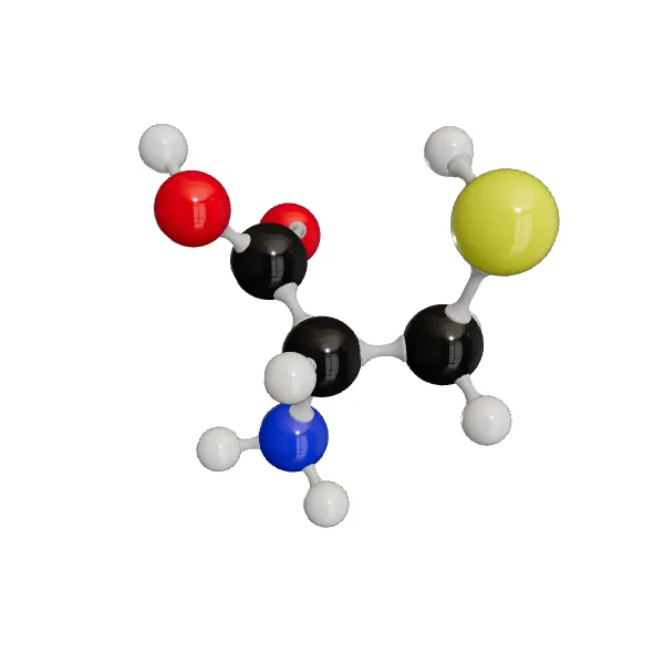 3D model of L-(+)-Cysteine