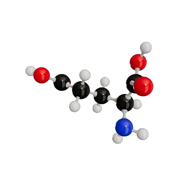 3D model of L-Glutamic Acid