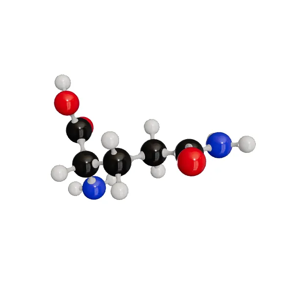 3D model of L-Glutamine