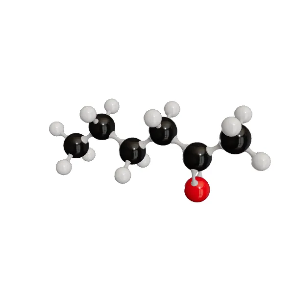 3D model of 2-Hexanone