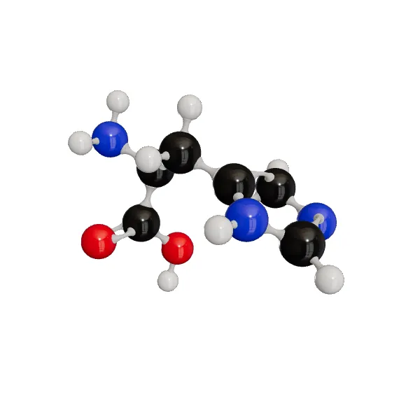 3D model of L-Histidine