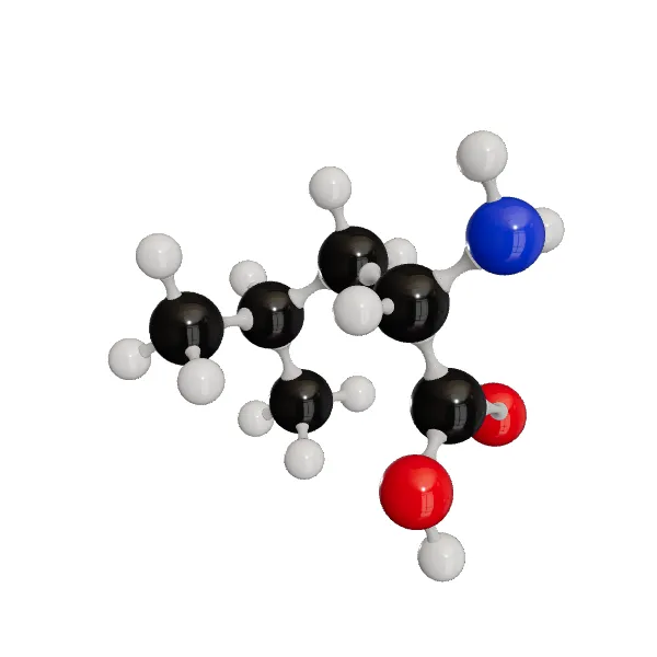 3D model of L-Leucine
