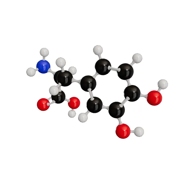 3D model of Levodopa