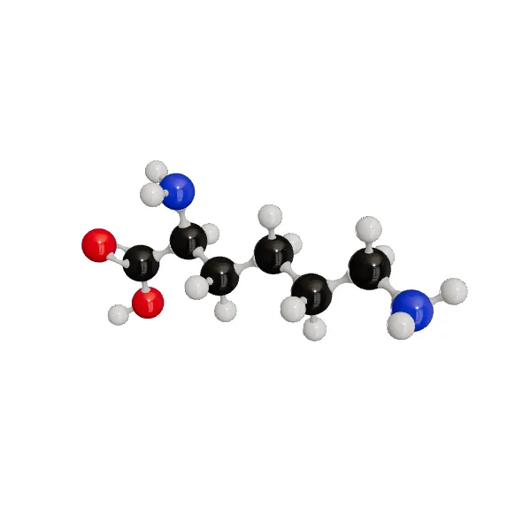 3D model of L-Lysine