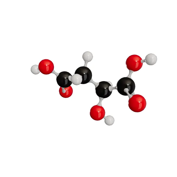 3D model of Malic Acid