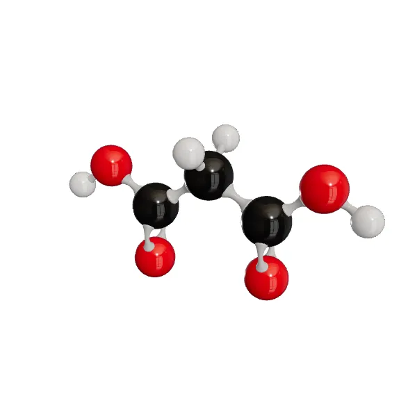 3D model of Malonic Acid