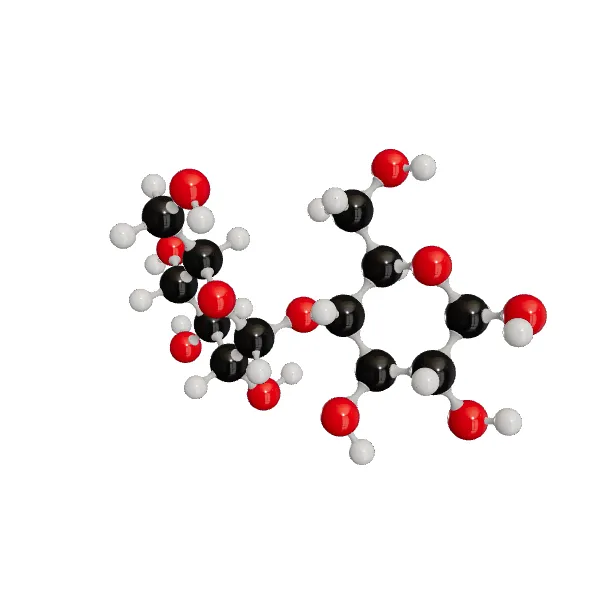 3D model of Maltose