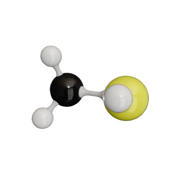 3D model of Methanethiol