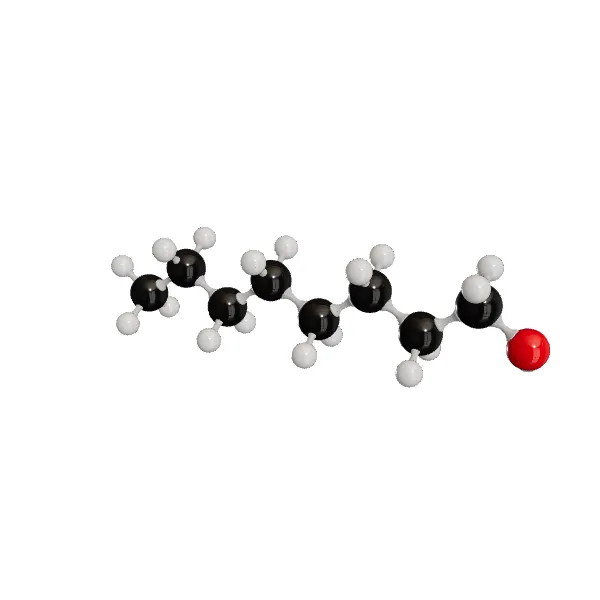 3D model of 1-Octanol