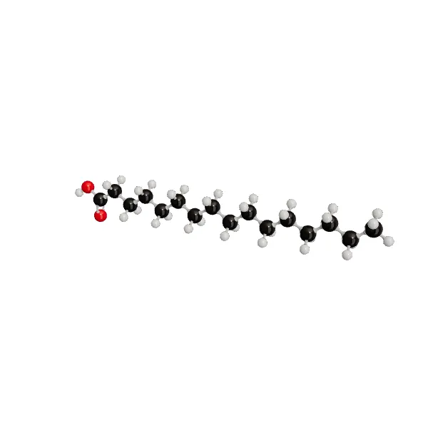3D model of Palmitic Acid