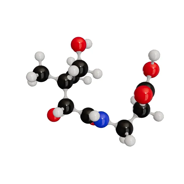 3D model of Pantothenic Acid