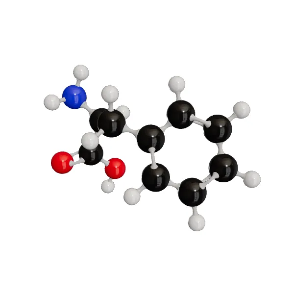 3D model of L-Phenylalanine
