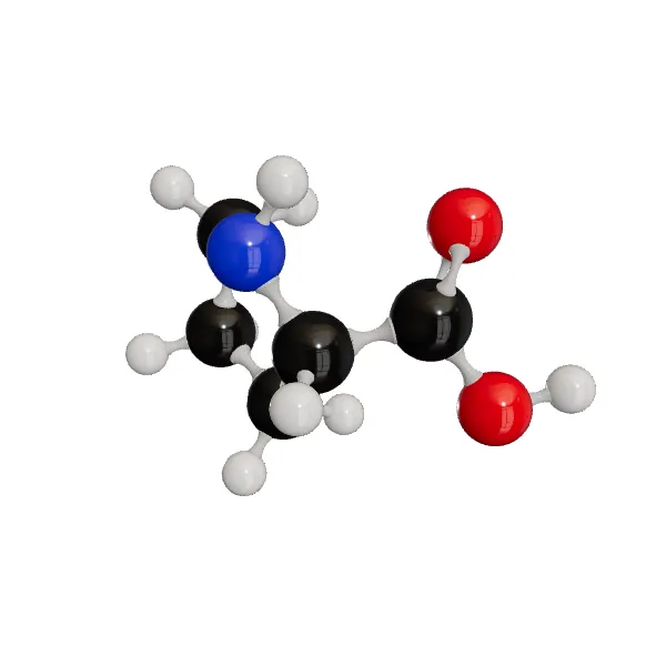 3D model of L-Proline