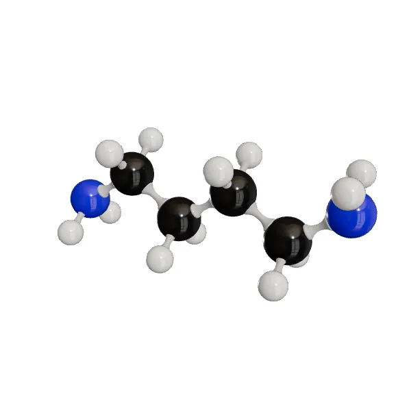 3D model of Putrescine