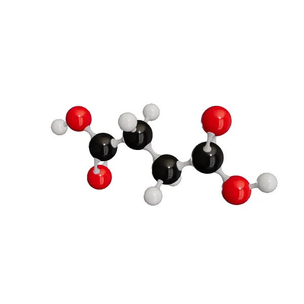 3D model of Succinic Acid