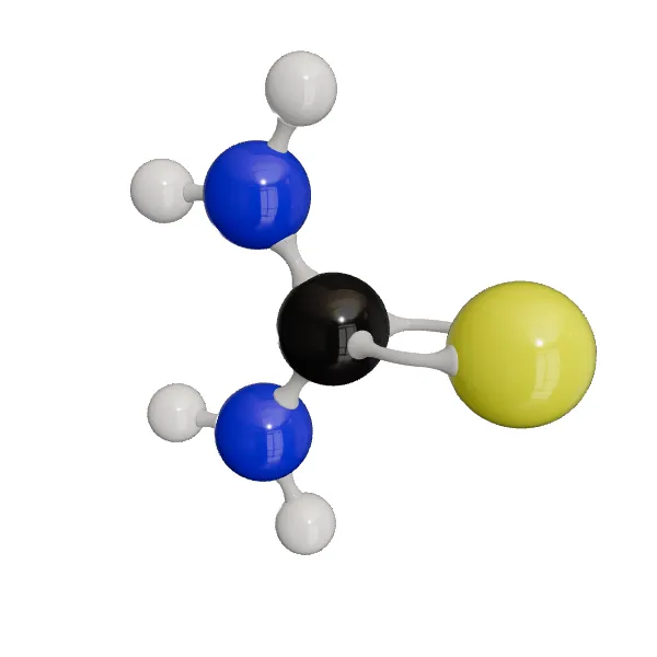 3D model of Thiourea