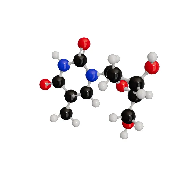 3D model of Thymidine