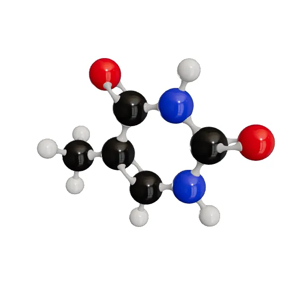 3D model of Thymine