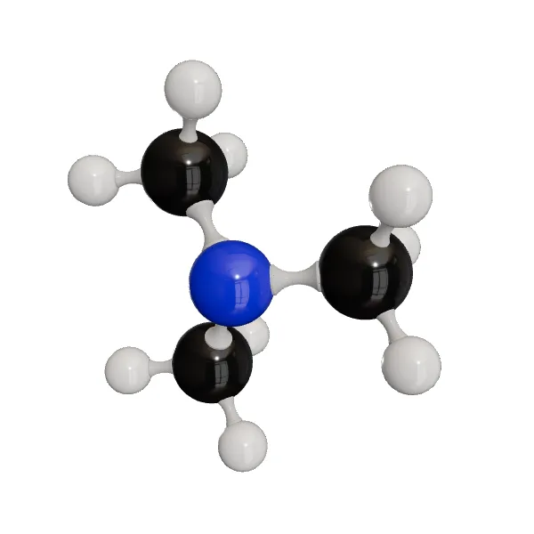 3D model of Trimethylamine