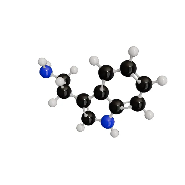 3D model of Tryptamine