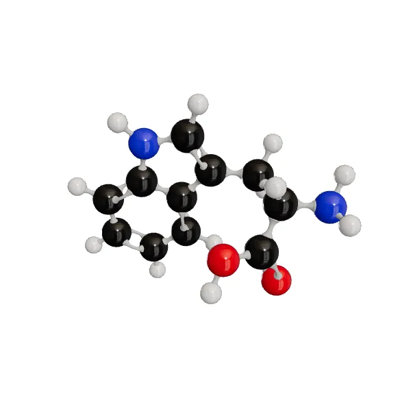 3D model of L-Tryptophan