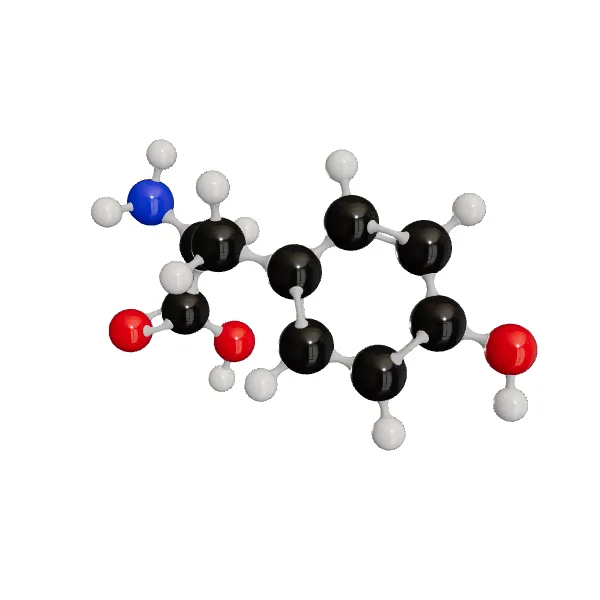 3D model of L-Tyrosine