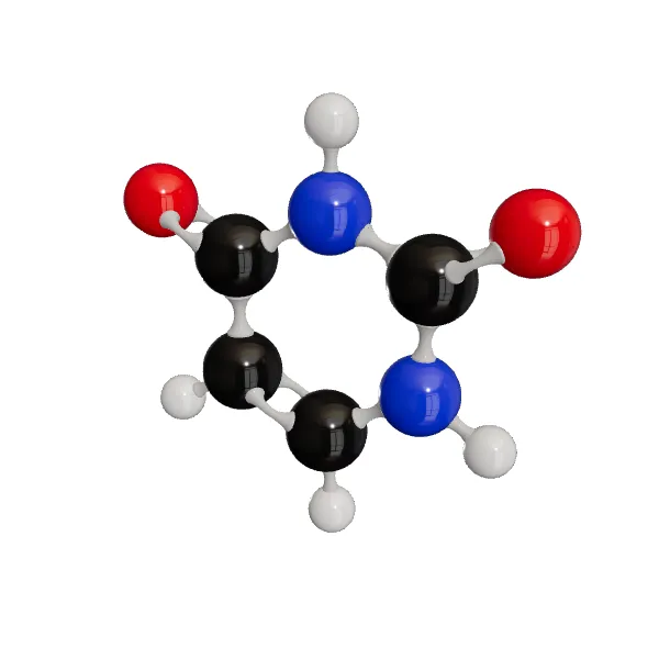 3D model of Uracil