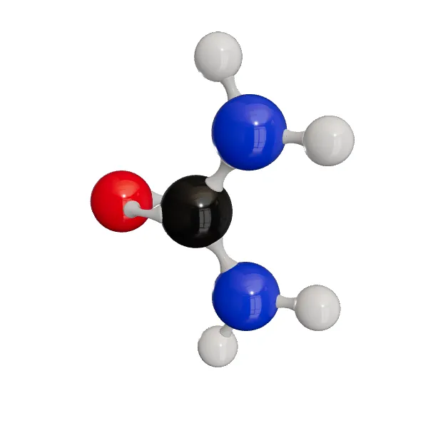 3D model of Urea