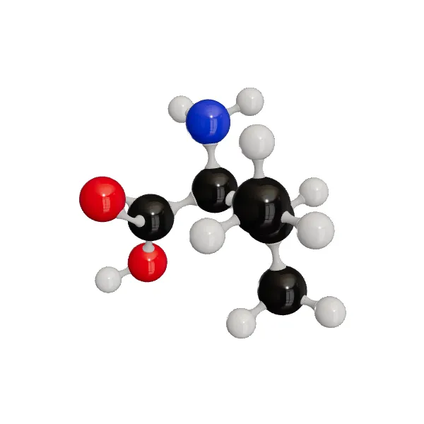 3D model of L-Valine
